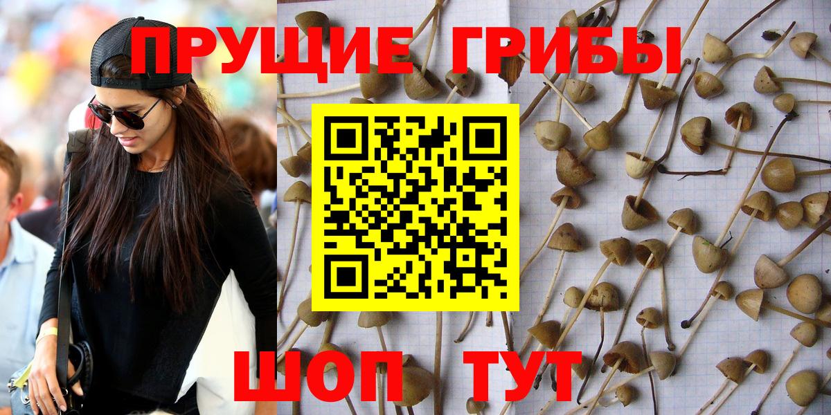 Галлюциногенные грибы GOLDEN TEACHER Барнаул
